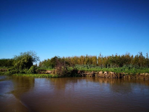 Imagen 17 de 29 de Campo De Isla Ganadero, 2.000 Has Sobre El Paranacito