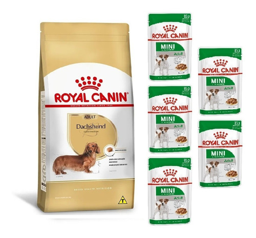 Kit Ração Dachshund Adult 1kg E 5 Sachês Mini Royal Canin