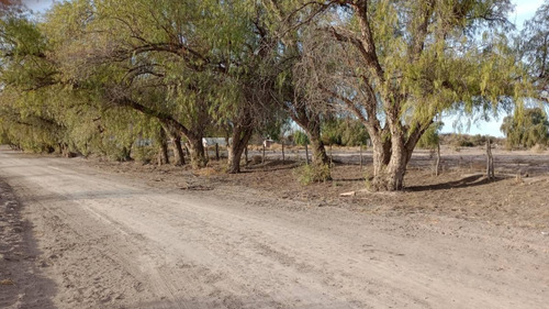 Venta Finca Monte Caseros San Martin. Mendoza
