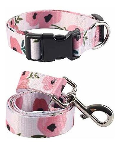 Coomour 2pcs Collar Para Perros Ajustable De Sangre 8ssnk