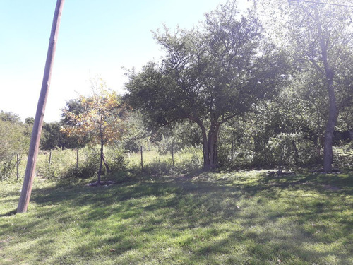 Imagen 5 de 7 de Venta-terreno-san Luis-villa De Merlo-papagayos-lote-villa Larca-lote-oportunidad