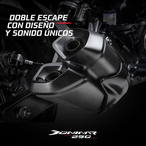 Imagen 16 de 23 de Bajaj Dominar D250 Naked Pronto Motos