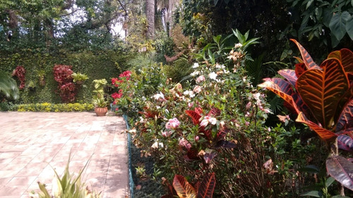 Imagem 17 de 30 de Casa Vende Granja Julieta - Reo340997