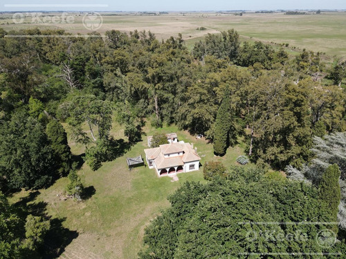 Campo Mixto En Venta De 228 Has Sobre Ruta 29 -en Brandsen