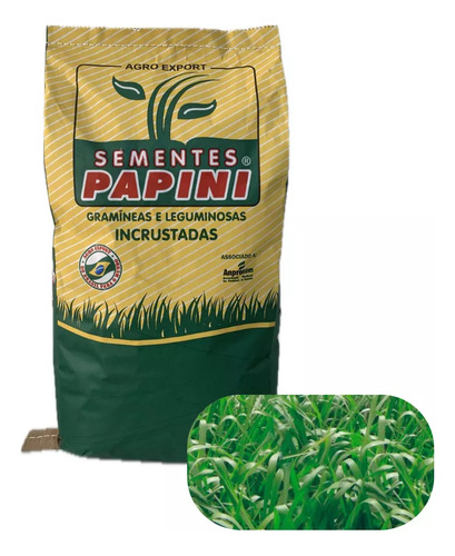Sementes Premium Campo Grande Brs- Piatã - Incrustada