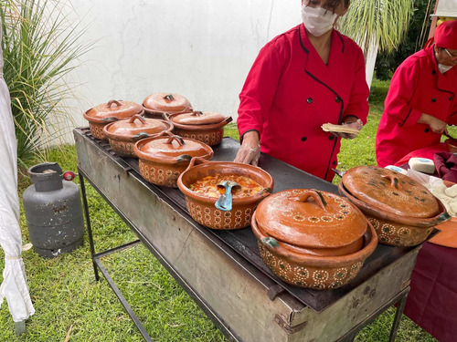 Cazuela Barro Con Tapa Guisos 2 Lts Taquiza Color Marrón