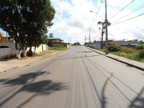 Imagem 12 de 15 de Terreno Para Venda Em Quatro Barras, Jardim Orestes Thá - Te-026_2-175650