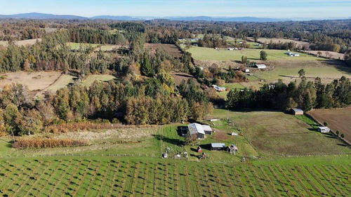 Campo En Venta Inversionista Pitrufquen (104143)
