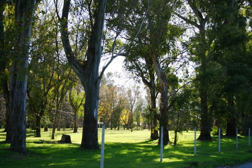 Venta Lote Terreno Bº Las Tranqueras