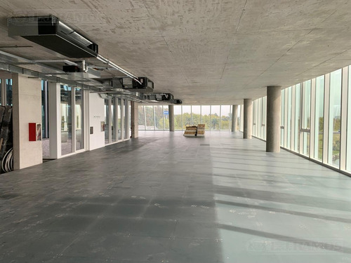 Imagen 16 de 21 de Alquiler De Oficina De 250 M2 En Nordelta