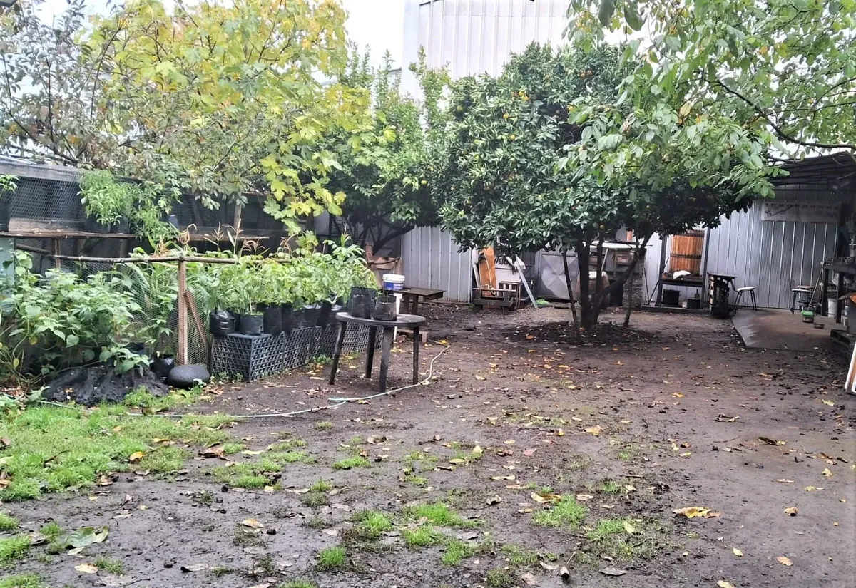 Imagen 2 de 10 de Casa Con 3 Locales Comerciales Y Amplio Terreno
