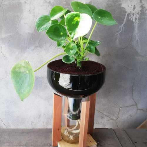 Imagen 2 de 6 de Cuchara Little Plant 32 Con Soporte, Maceta Autorregante