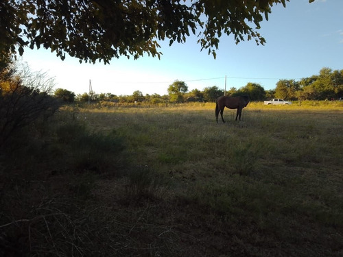 Imagen 27 de 28 de T056pa Amplios Terrenos De 1.350 M2 En Panaholma, A 300 Mts Del Río