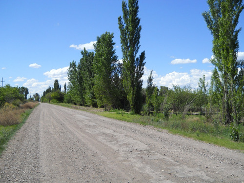 Finca Con Viñedos Y Bosque 