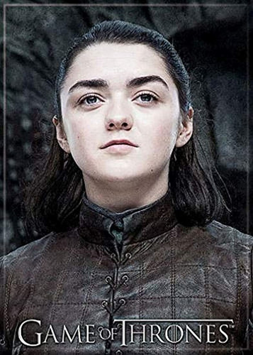 Imán Para Nevera De Juego De Tronos Arya Stark 2,5'' X 3,5''