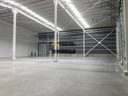 Arriendo Bodega De 1.200 M2 En P. Industrial Enea, Pudahuel.