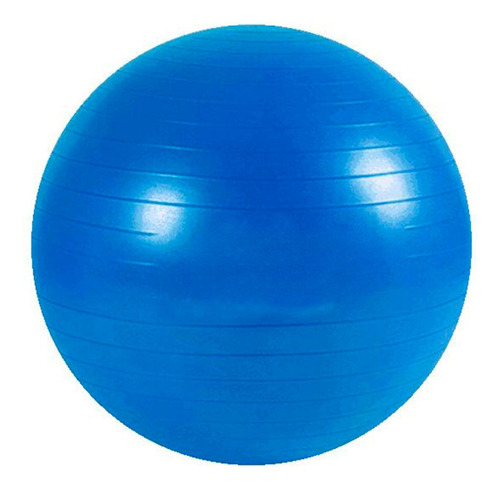 Pelota Yoga Ball Forest Fitness Esferodinamia  55 Cm Pilates