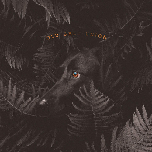 Cd: Cd Importado De Old Salt Union Donde Los Perros No Muerd