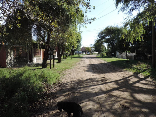 Imagen 6 de 7 de Lote Con Mejoras En Playa Norte San Clemente (cod 884)