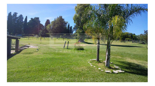 Imagen 23 de 29 de Casa 6 Ambientes En Campo De 3 Hectareas Piscina Quincho En Victoria Prov. De Entre Rios
