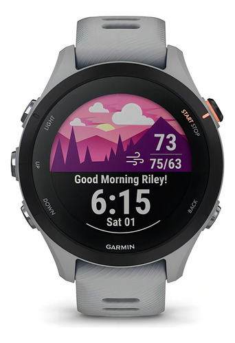 Reloj Inteligente Garmin Forerunner 255s Powder Grey Color Gris - Excelente (Reacondicionado)