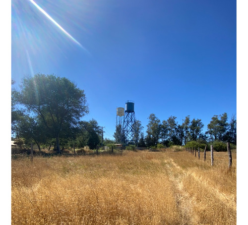 Buscas Un Sitio En Ñiquen , Región De Ñuble , Aquí Esta ¡¡¡
