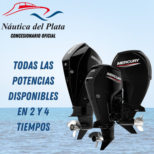 Semirrigido Viking 5,20 Equipado Y Mercury 50hp Elpt 4t 2025