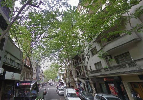 Alquiler - Oficina - Planta Libre 630 M2 - Centro De Montevideo
