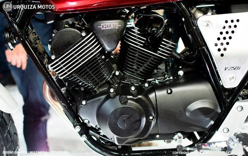 Zanella Ceccato 250 Motor V Inyeccion 2021 Urquiza Motos