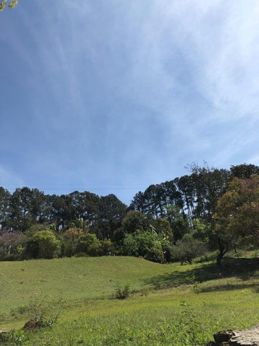 Chácara À Venda, 48000 M² Por R$ 560.000,00 - Roseira - Piedade/sp - Ch0002