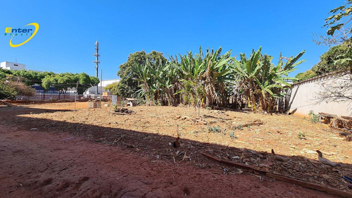 Imagem 8 de 13 de Lote 3000m2 No Saan Quadra 03- Brasilia-df