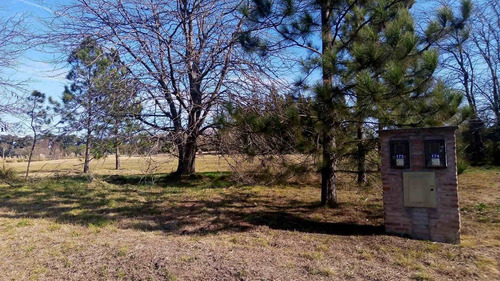 Imagen 16 de 18 de Lote En Venta En Pilar (country Con Golf)