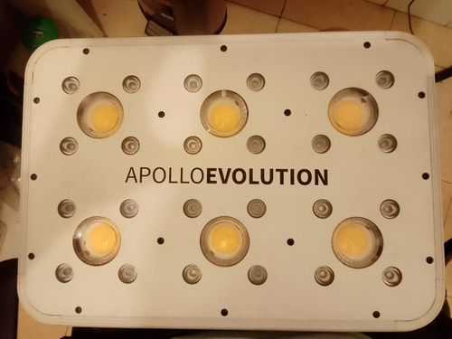 Apollo Evo 6 180w