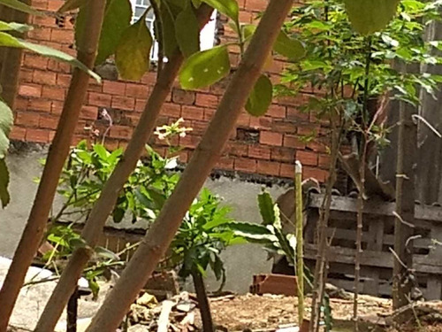 Imagem 7 de 8 de Terreno, Vila Engenho Novo, Barueri - R$ 170 Mil, Cod: 409 - V409