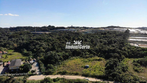 Imagem 8 de 23 de Área À Venda, 11914 M² Por R$ 5.766.419,56 - Cidade Industrial - Curitiba/pr - Ar0007