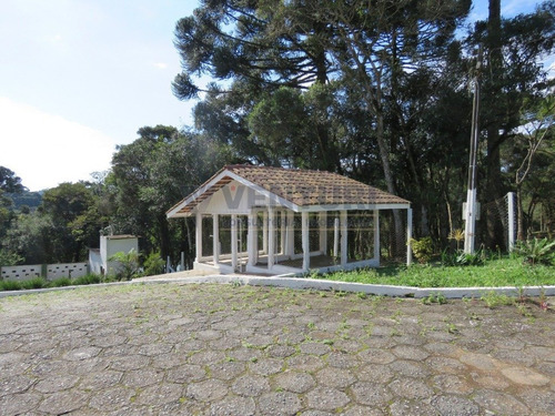 Imagem 2 de 15 de Chacara - Colonia Murici - Ref: 2345 - L-2345
