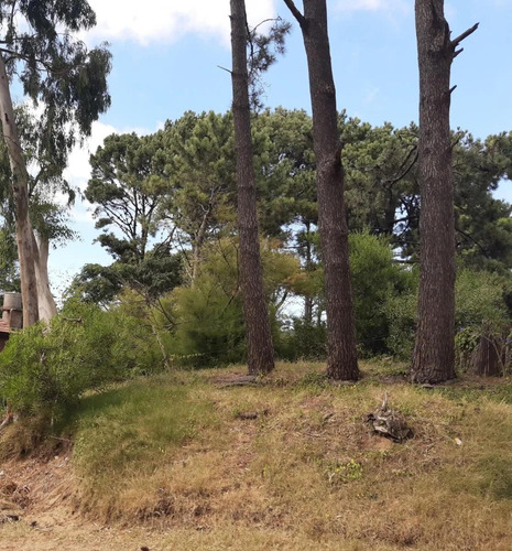 Terreno En Venta - 584mts2 - Ostende