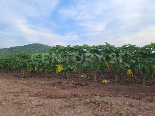 Venta Rancho Los Asmoles Colima
