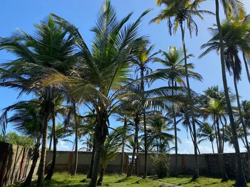 En Venta Casa Frente Al Mar