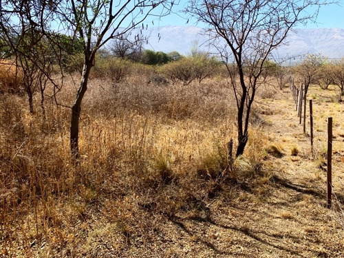 Imagen 2 de 7 de Terreno En Venta En Merlo, San Luis