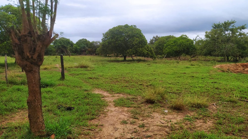 Propriedade Rural Próxima A Cidade Em Senhor Do Bonfim - Ba