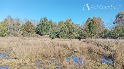 Sitio 5000 Mt2 En Venta En Villarrica