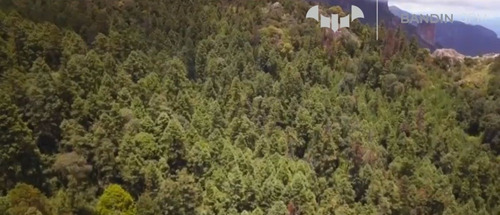 De $63,083,400 A 42,057,600 Ecoturismo Mineral Del Chico 7 Hectareas