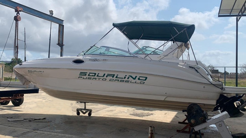 Imagen 3 de 8 de Lancha Sea Ray Sundeck 24 Lv519