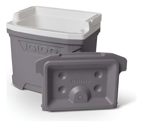 Caixa Térmica Profile 28 Litros Cinza - Igloo