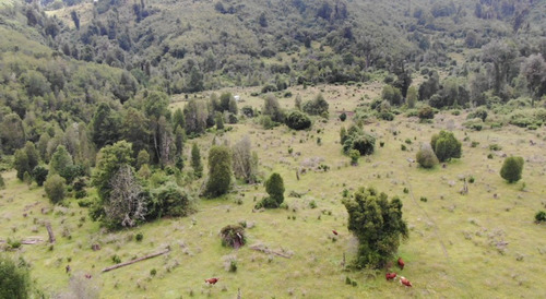 Imagen 9 de 10 de Parcela En Venta En Lago Ranco