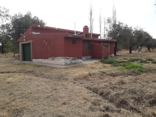 Imagen 16 de 16 de Campo En San Pedro Traslasierras. 4 Has Casa Y Galpon