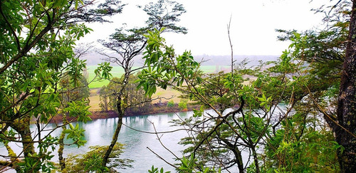 Imagen 3 de 13 de Lindos Terrenos Orilla Común De Río Calle Calle Los Lagos
