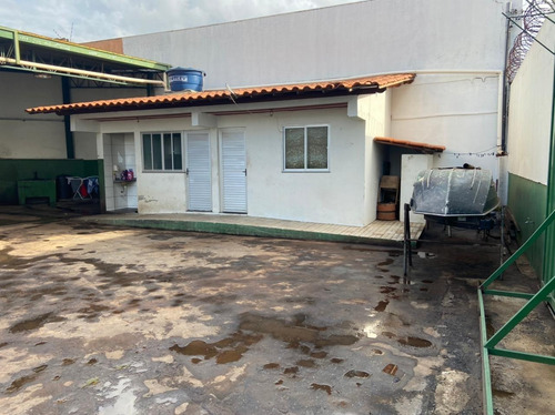 Ótimo Galpão Ou Terreno Para Predio - Mus3296