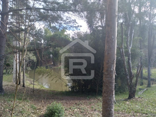 Imagem 29 de 30 de Itio Ideal Para O Seu Lazer Tendo 3 Lagos Piscosos Com Peixe, 02 Nascentes Próprias, Pomar, Horta. - 77 - 70066608